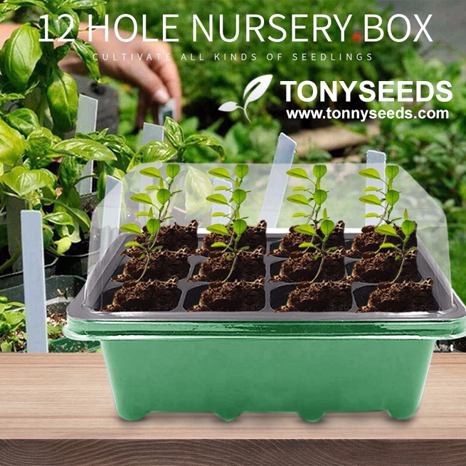 12 Cells Hole Nursery Pots Plant Seed Box Tray Insert Seeding Case Plastic Plant Seeds Growing Box Base Garden Grow Box